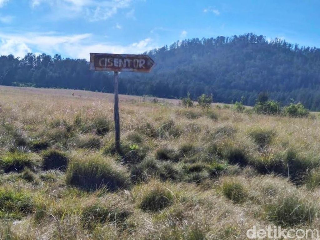 Jalur Pendakian Gunung Argopuro Ditutup Sementara Dampak Kebakaran Hutan